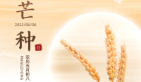 【二十四节气】芒种节气的含义是什么？